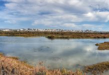 Hiking from Faro to the Beach