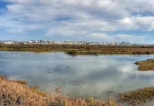 Hiking from Faro to the Beach