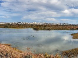 Hiking from Faro to the Beach