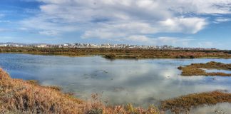 Hiking from Faro to the Beach