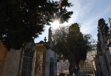 Old Cemetery of Faro: An Enchanting Hidden Gem of History and Serenity Old Cemetery of Prague