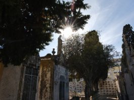 Old Cemetery of Faro: An Enchanting Hidden Gem of History and Serenity Old Cemetery of Prague