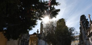 Old Cemetery of Faro: An Enchanting Hidden Gem of History and Serenity Old Cemetery of Prague