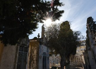 Old Cemetery of Faro: An Enchanting Hidden Gem of History and Serenity Old Cemetery of Prague