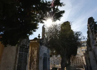 Old Cemetery of Faro: An Enchanting Hidden Gem of History and Serenity Old Cemetery of Prague