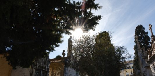Old Cemetery of Faro: An Enchanting Hidden Gem of History and Serenity Old Cemetery of Prague