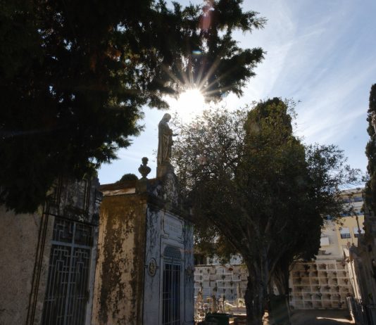 Old Cemetery of Faro: An Enchanting Hidden Gem of History and Serenity Old Cemetery of Prague