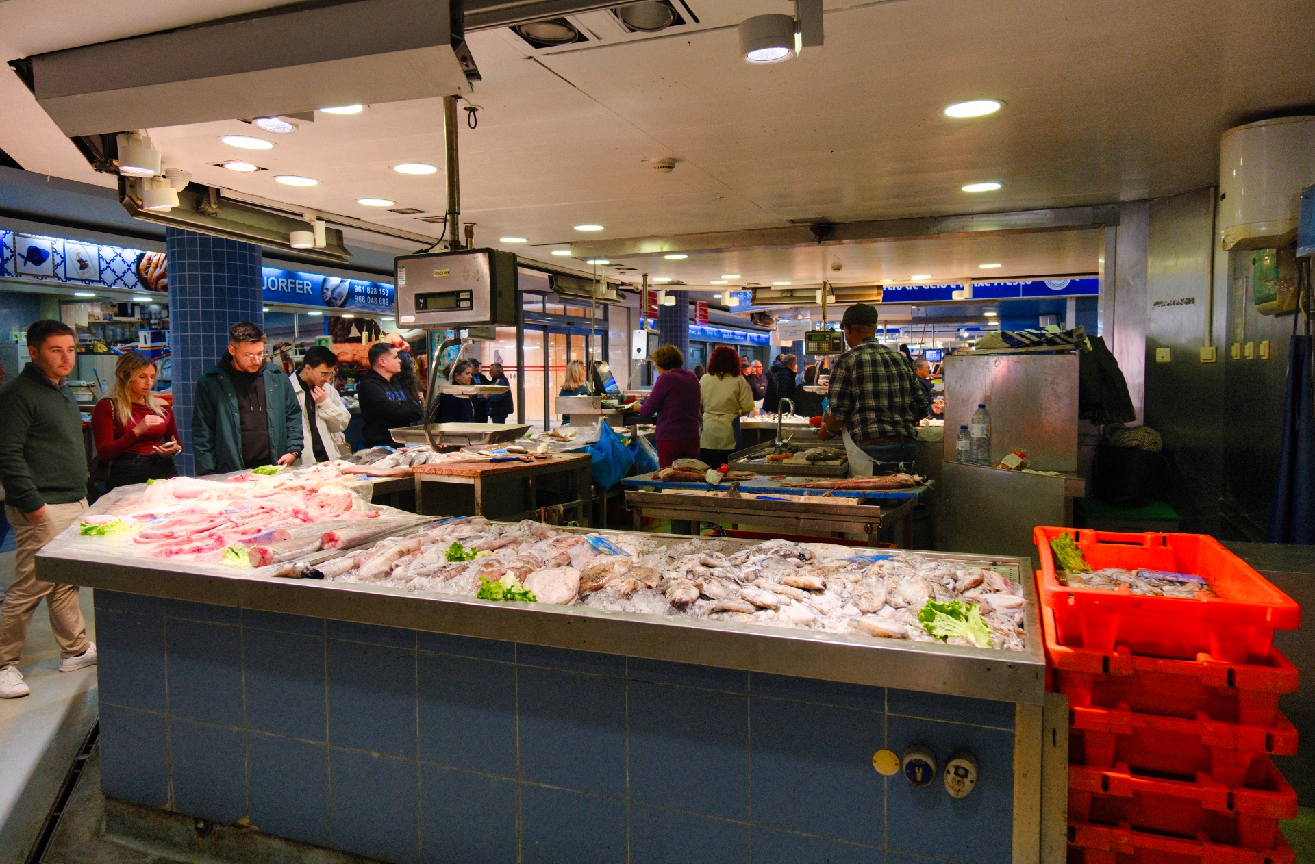 Catch of the day in Faro's Municipal Market