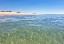 Day Out in Olhão and Culatra Island