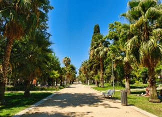 Jardim da Alameda: a Green Space for Relaxation Jardim da Alameda, main way