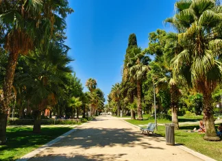Jardim da Alameda: a Green Space for Relaxation Jardim da Alameda, main way