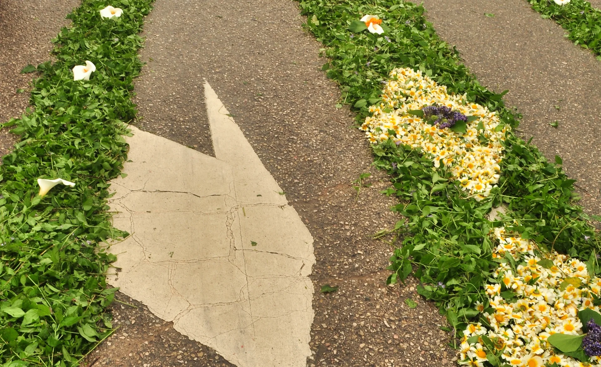 Festa das Flores em São Brás de Alportel